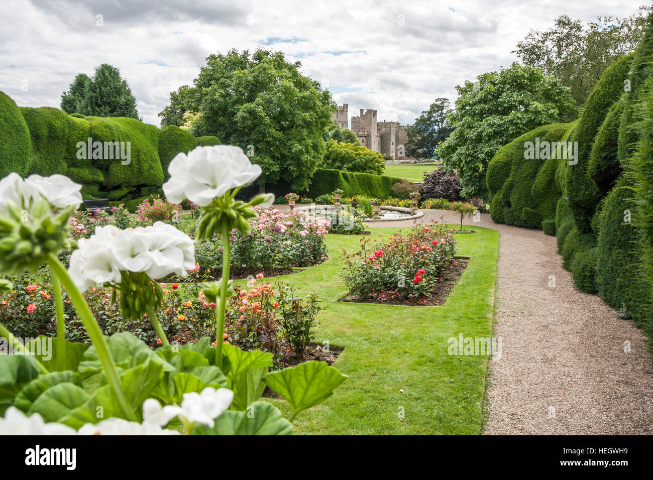 Vista colorate del giardino delle rose a Raby Castle,Staindrop,Co.Durham, Inghilterra,UK con il castello in background Foto Stock