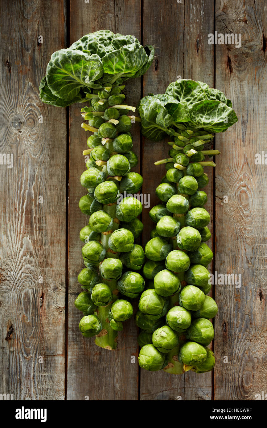 Brussel Sprout stocchi su un giardino capannone tavolo in legno fondo biologico fresco taglio verde verde verde salute tradizionale pranzo di Natale Foto Stock