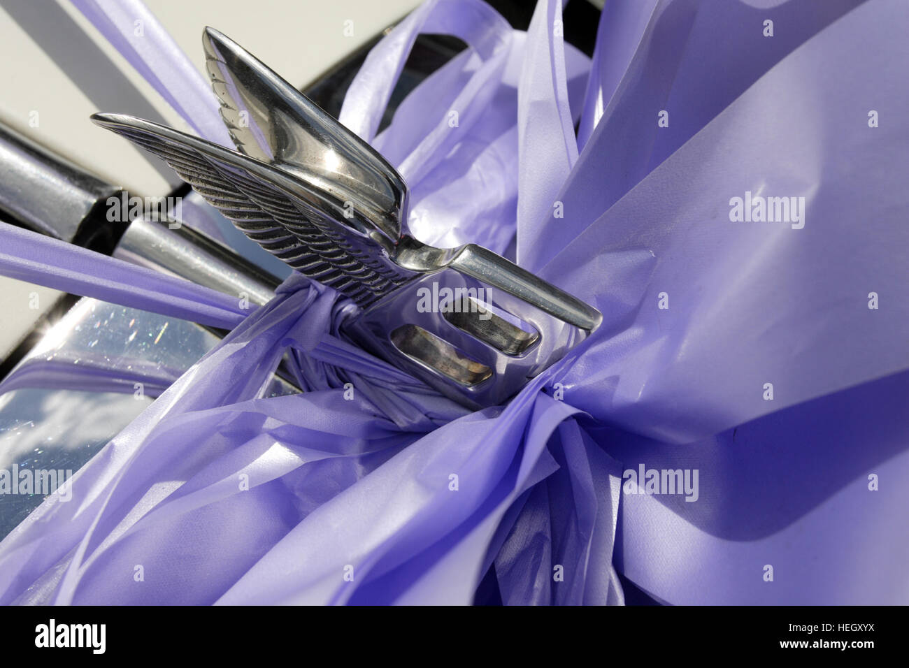 Flying Wing cofano mascotte del cofano su una Bentley auto nozze, con un nastro di lilla legato attorno ad esso Foto Stock