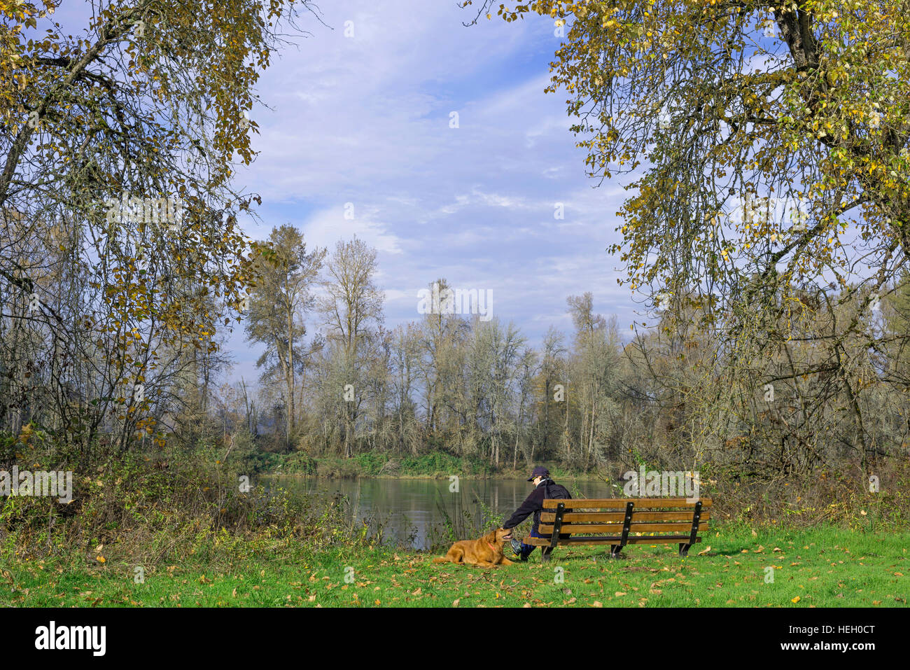 Stati Uniti d'America, Oregon, Willamette Missione del parco statale, femmina adulta e cane con autunno cottonwoods colorati e fiume Willamette. Foto Stock