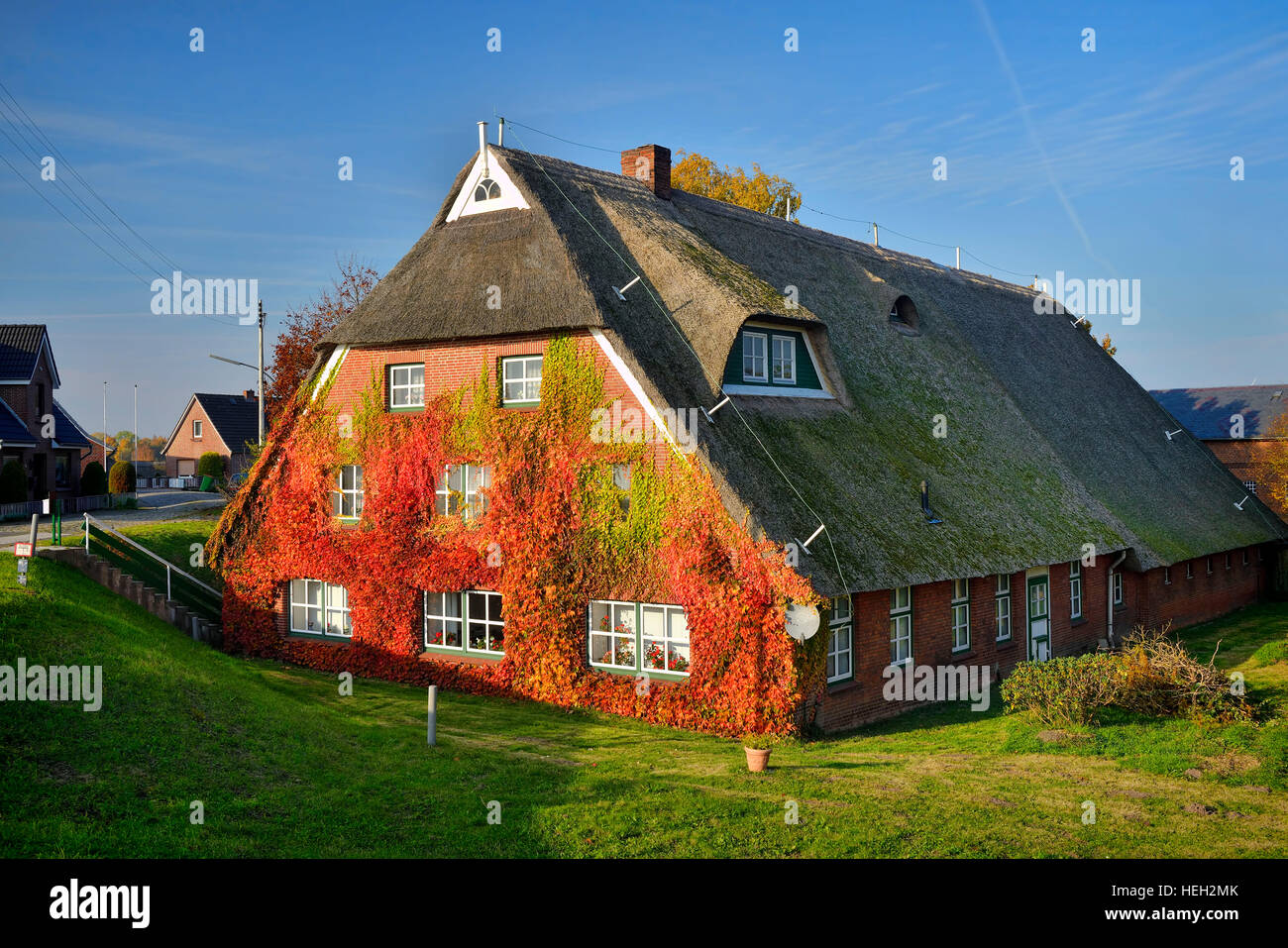 Fachwerkhaus mit berankter Fassade im Herbst in Kirchwerder, Amburgo, Deutschland, Europa Foto Stock