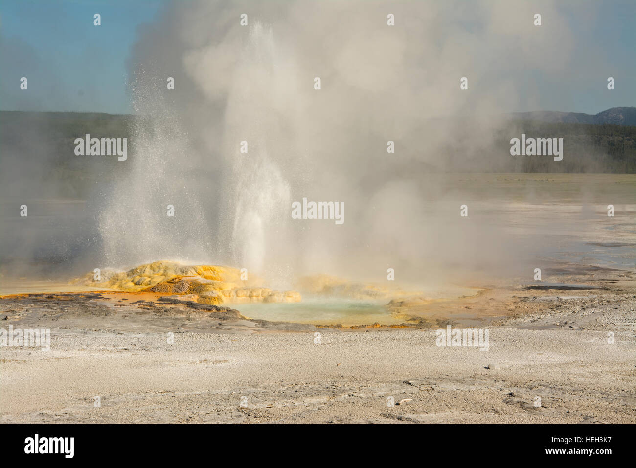 Stati Uniti d'America, USA, Wyoming WY, il Parco Nazionale di Yellowstone, Fontana Paint Pots Trail, lo spasmo geyser di vapore di emissione Foto Stock