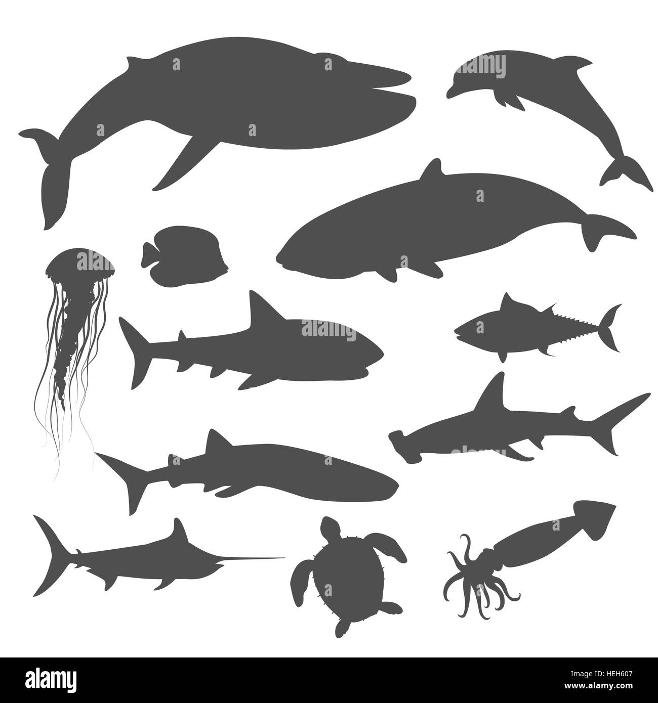 La fauna marina insieme di animali acquatici. La fauna acquatica, oceano o pesce di mare La fauna La fauna, acquario subacqueo vita esotica fauna, Illustrazione Vettoriale