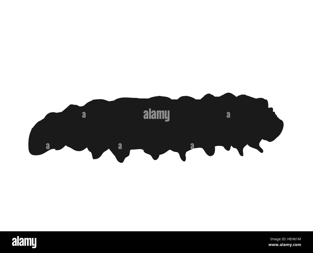 Macro di bruchi neri isolati su bianco. Agricoltura pest icona caterpillar. Macro di bruchi isolato su bianco. Illustrazione Vettoriale