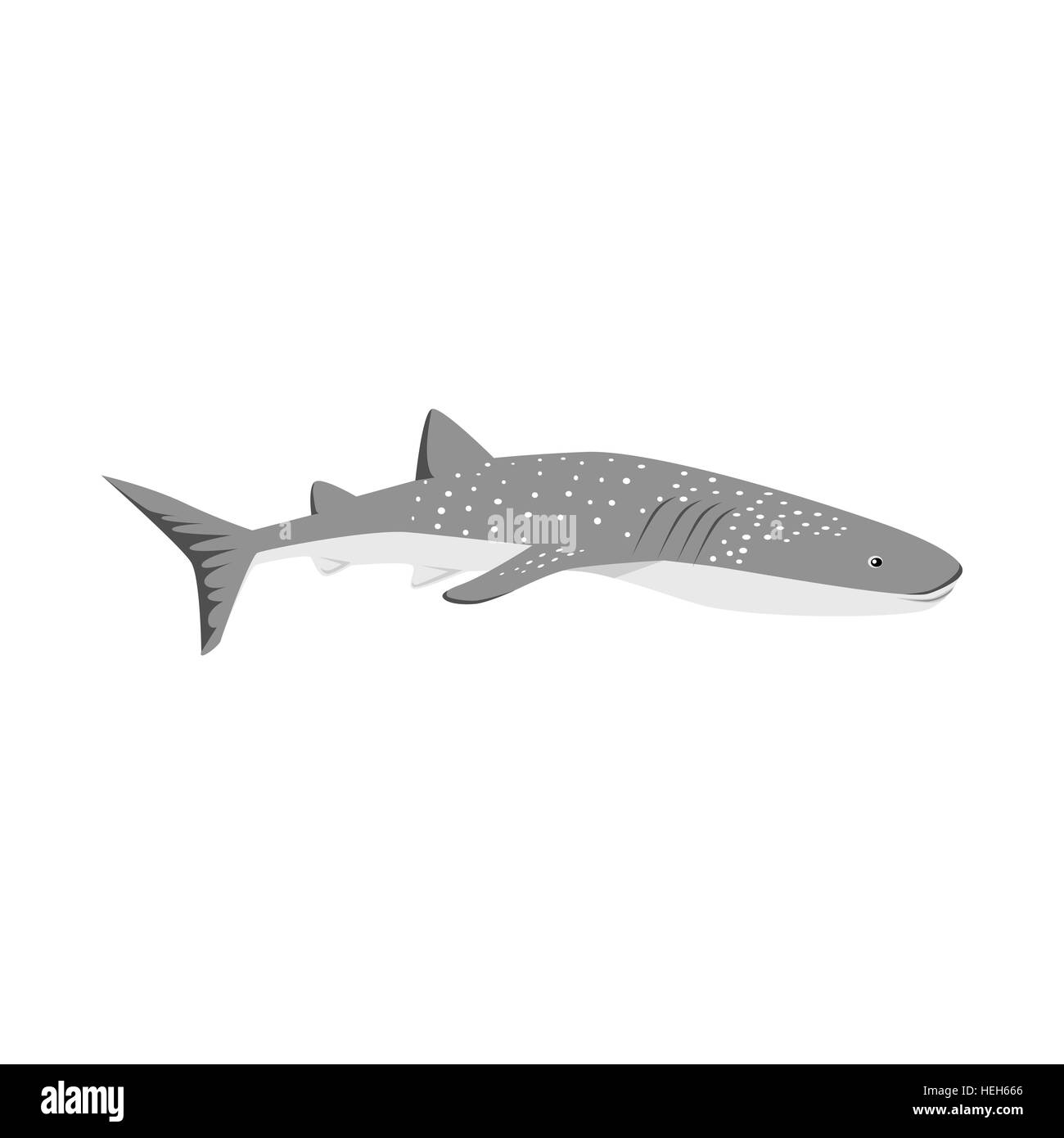 Predatore marino Shark Design piatto. Predatore marino shark design piatto. Pericoloso squalo predatore con le pinne e la coda e sharp Illustrazione Vettoriale