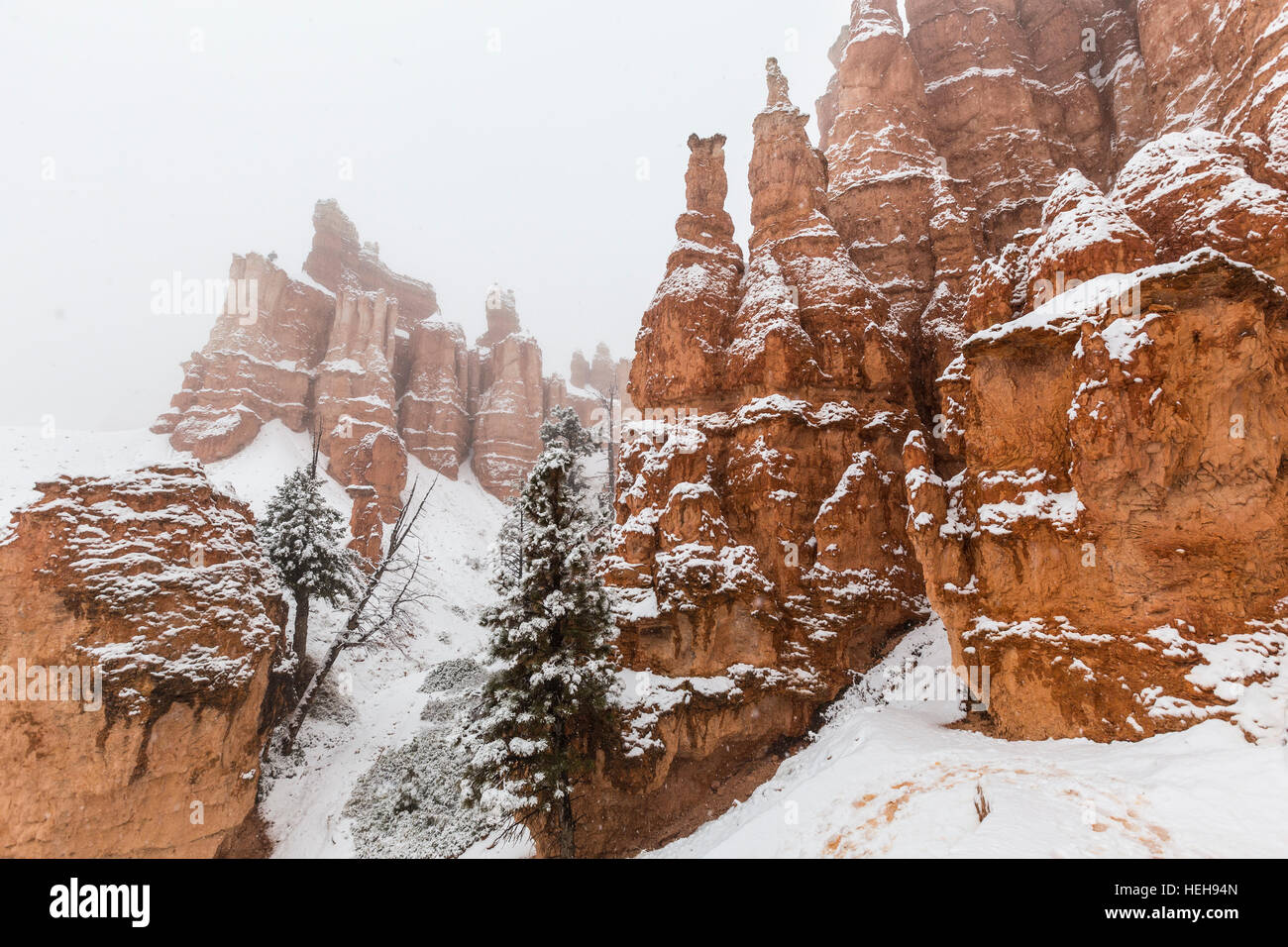 Tempesta di neve e hoodoos al Parco Nazionale di Bryce Canyon nel sud dello Utah. Foto Stock