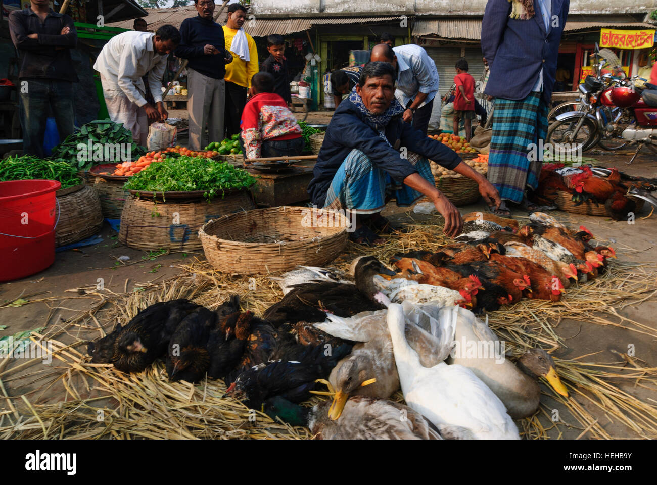 Barisal: Mercato, pollame, polli, Barisal Divisione, Bangladesh Foto Stock
