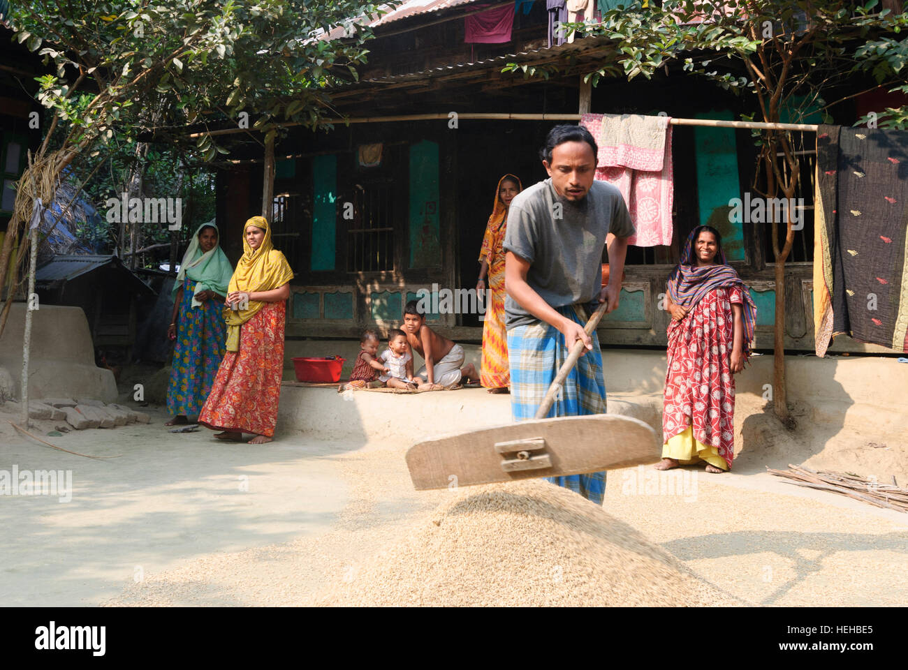 Madhabpasa: Casa in paese; l'uomo si diffonde il riso a secco, Barisal Divisione, Bangladesh Foto Stock