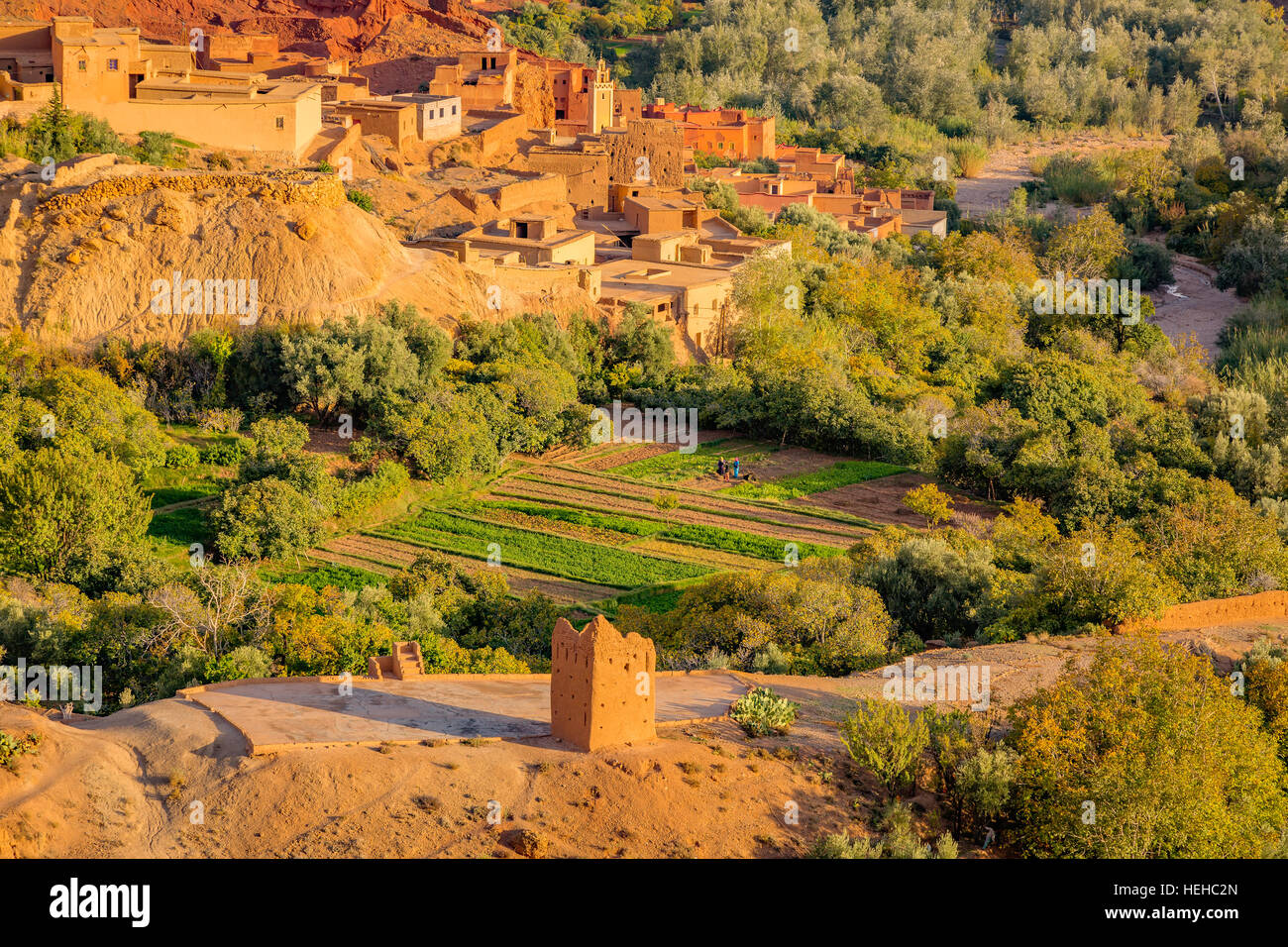 Oasi con piccoli giardini nella valle del Oued Dades in Marocco Foto Stock