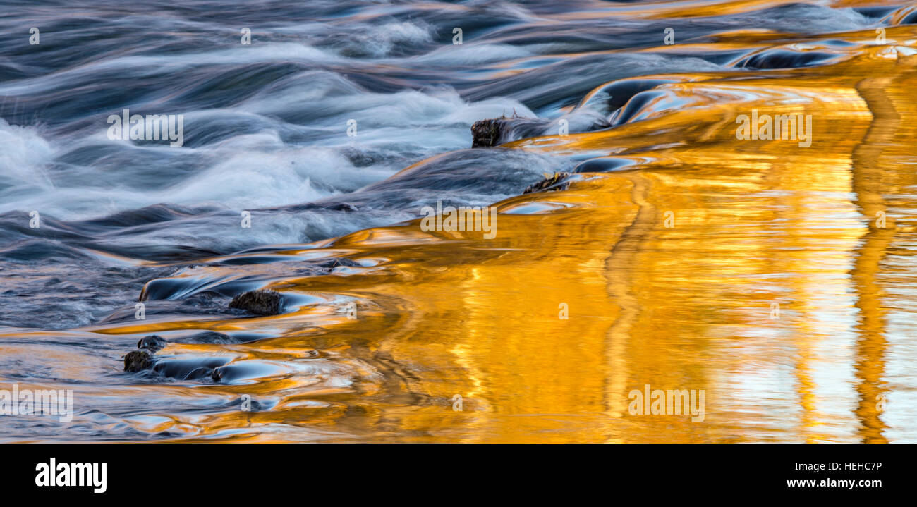 I colori autunnali riflettente nel fiume Boise in autunno, Boise, Idaho, Stati Uniti d'America Foto Stock