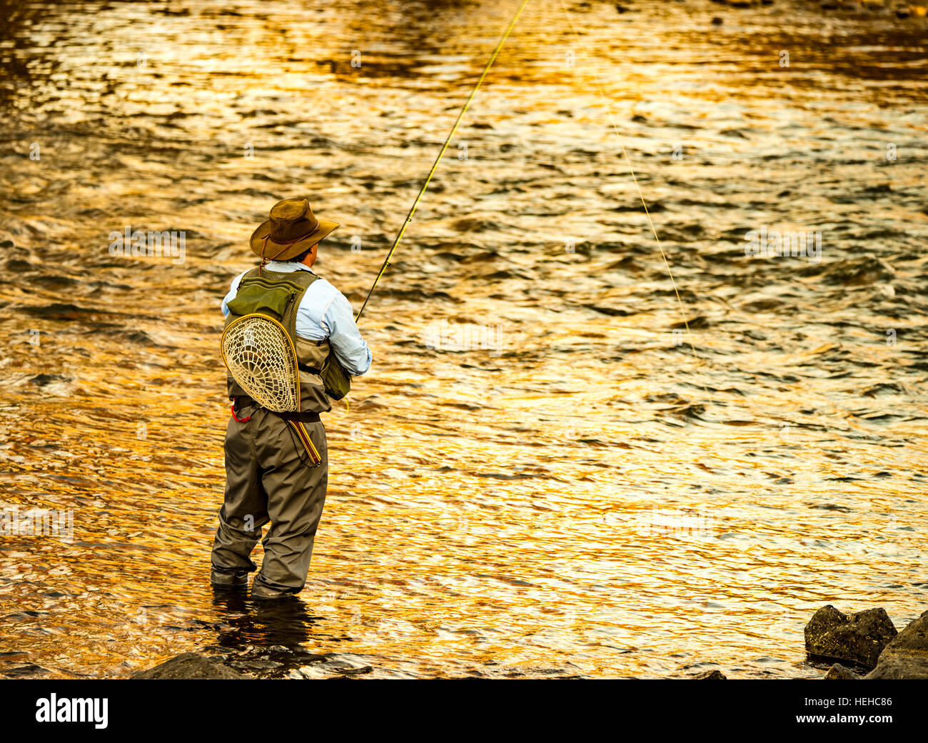 Pescatore a mosca la colata per la pesca alla trota sul fiume Boise Boise, Idaho, Stati Uniti d'America Foto Stock