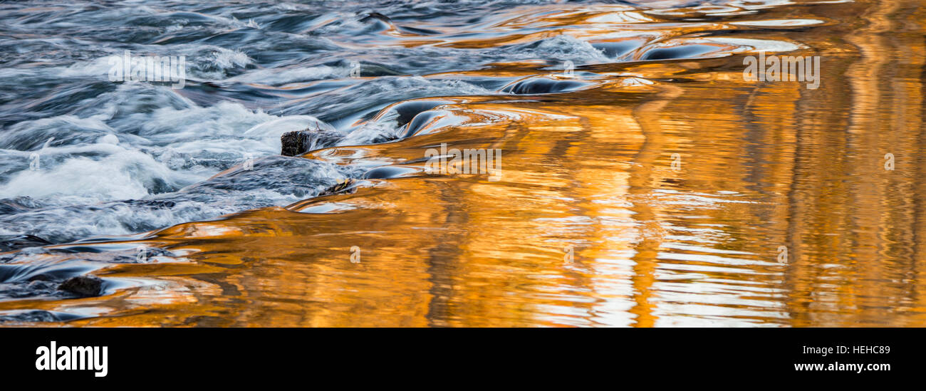 I colori autunnali riflettente nel fiume Boise in autunno, Boise, Idaho, Stati Uniti d'America Foto Stock