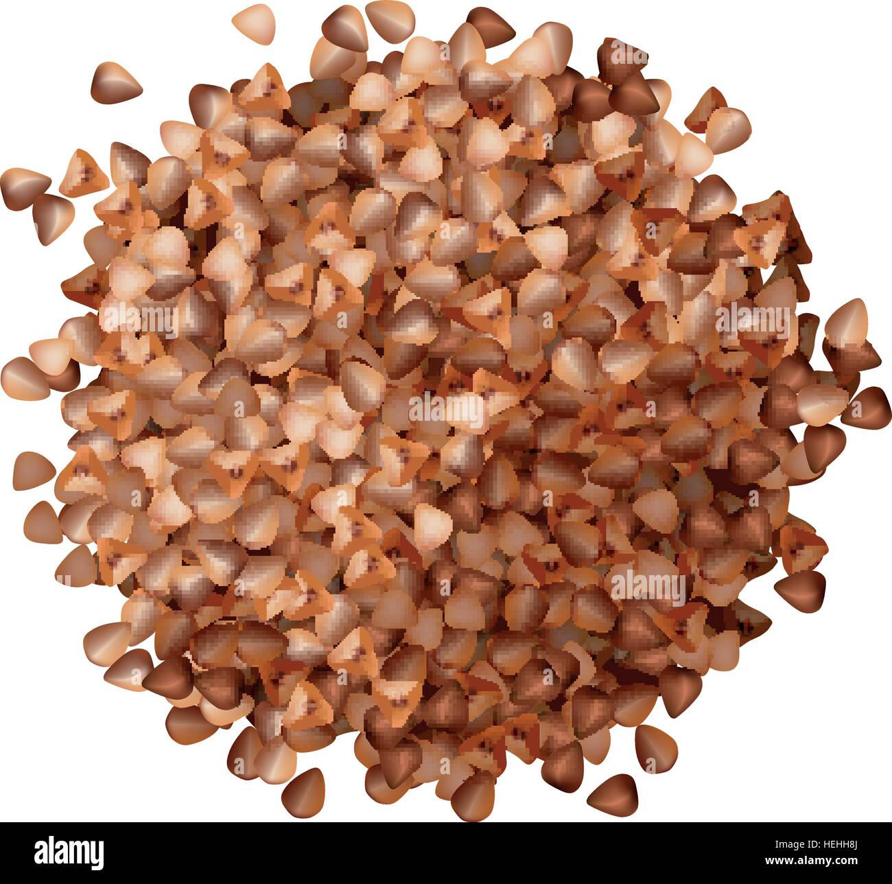 Semole e semolini di grano saraceno palo alto vista su sfondo bianco Illustrazione Vettoriale