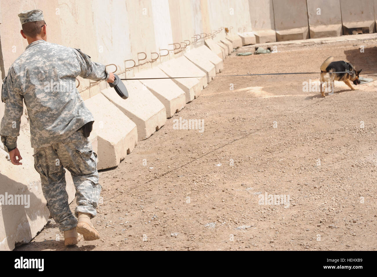 Stati Uniti Il personale dell'esercito Sgt. Brian Moreno, kennel master attaccato al 3° Brigata Team di combattimento, ottantaduesima Airborne Division, e militari di cane da lavoro Andy condurre un esercizio pratico nel rilevamento esplosivi durante il corso di formazione in corrispondenza del giunto di sicurezza la fedeltà della Stazione Orientale, Baghdad, Iraq, il 15 maggio. Lavoro militare addestramento cani a Baghdad, Iraq 173830 Foto Stock