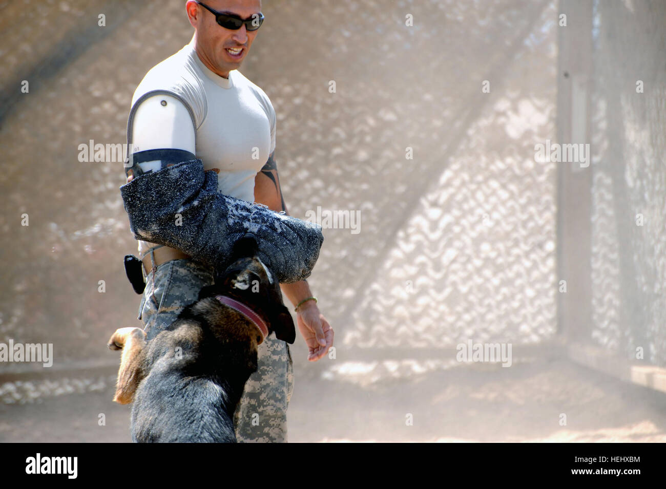 Stati Uniti Il personale dell'esercito Sgt. Brian Moreno, kennel master attaccato al 3° Brigata Team di combattimento, ottantaduesima Airborne Division, riceve un morso da militari di cane da lavoro Chris durante il corso di formazione in materia di tecniche di controllo in corrispondenza del giunto di sicurezza la fedeltà della Stazione Orientale, Baghdad, Iraq, il 15 maggio. Lavoro militare addestramento cani a Baghdad, Iraq 173845 Foto Stock