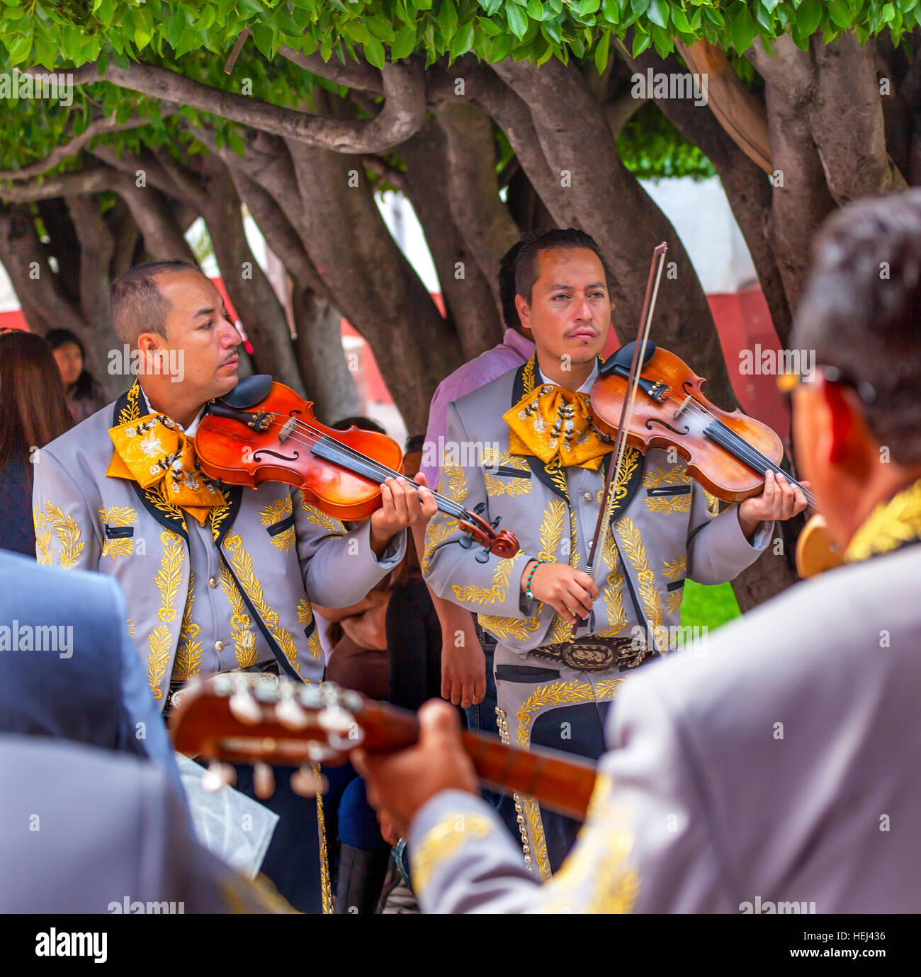 Banda Mariachi violino i giocatori Jardin Piazza della Città di San Miguel De Allende Messico. Foto Stock