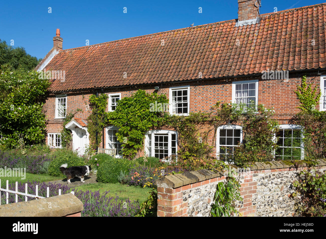 Cottage di campagna e giardino, Sud Creake, Norfolk, Inghilterra, Regno Unito Foto Stock