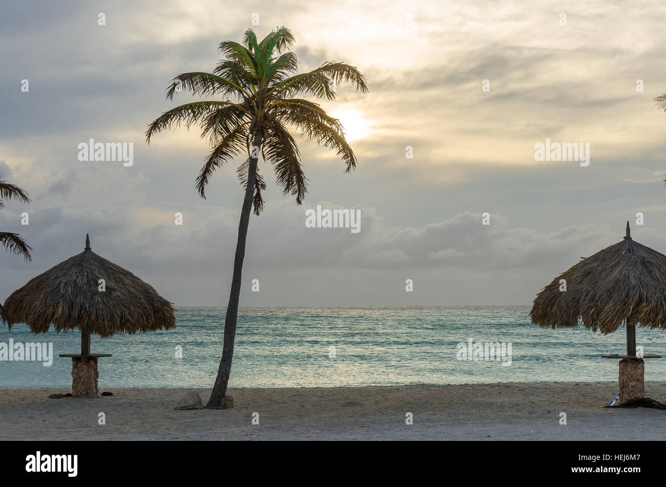 Area di sosta con palme sulla spiaggia di Isola di Aruba Foto Stock