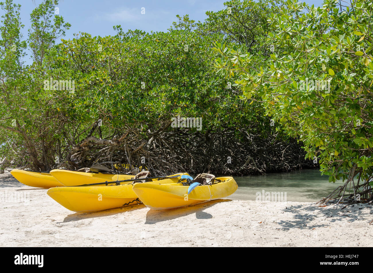Kayak a Mangel Halto beach ad Aruba, Caribbean Paradise Island Foto Stock