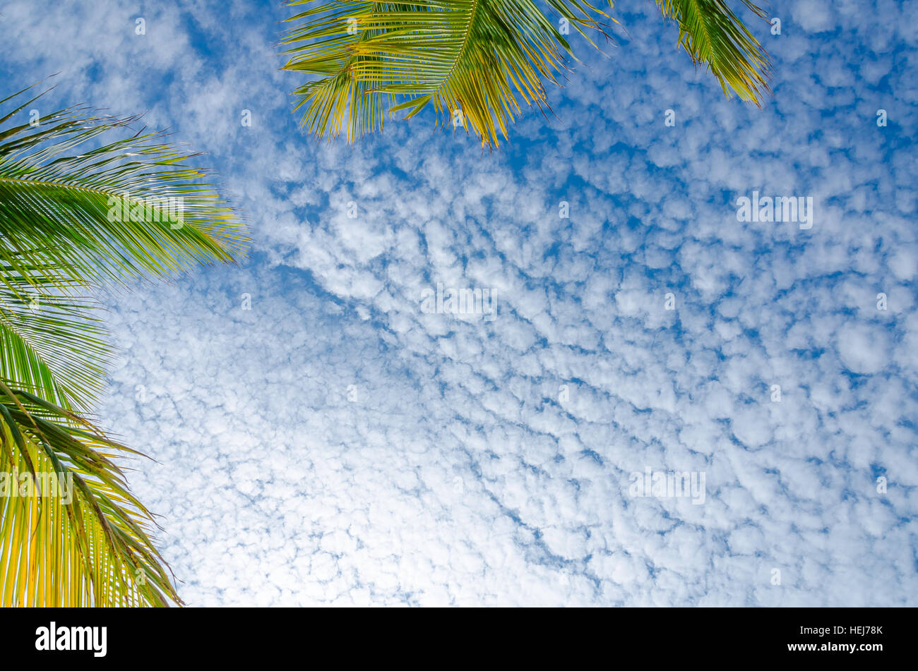 Vista panoramica del cielo con nuvole bianche da Eagle Beach, Aruba, nel mar dei Caraibi. Foto Stock