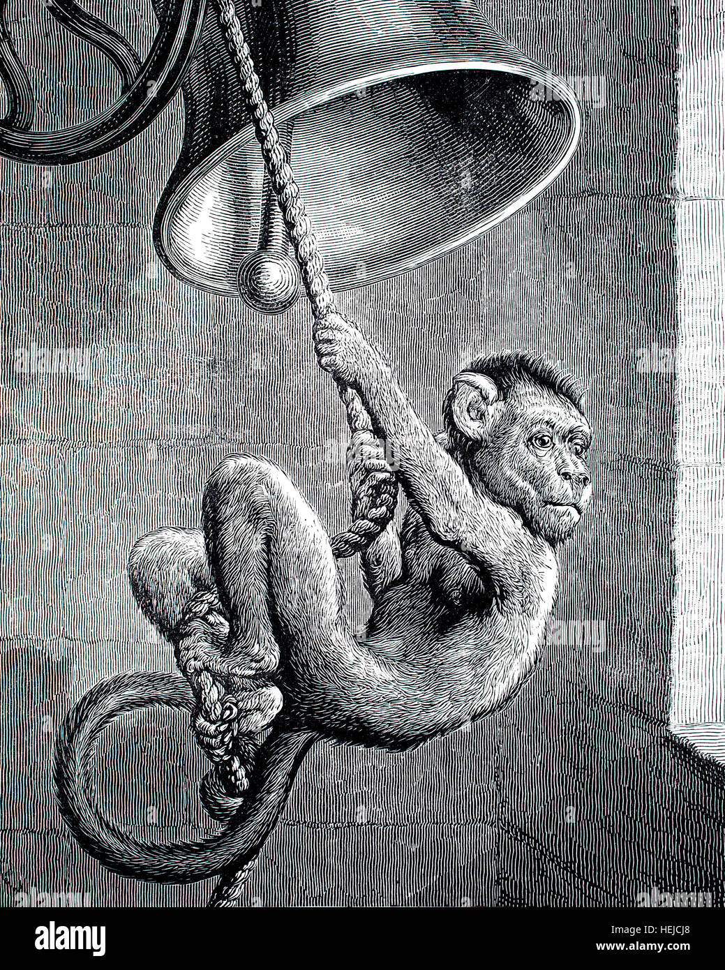 Monkey basculante in corda squilla sul campanile della chiesa, illustrazione da 1884 Chatterbox settimanale per bambini: carta Foto Stock