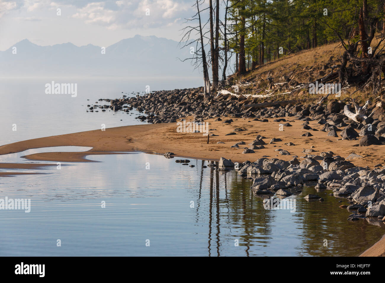 Uno splendido scenario di pietre, sabbia e alberi su una riva del lago Khovsgol, Mongolia Foto Stock