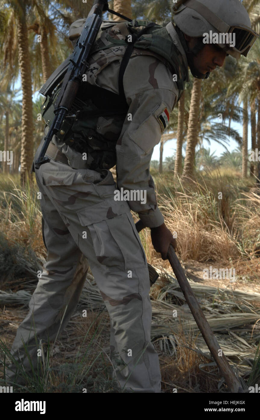 Un soldato iracheno scava fino un'area sospettati di aver nascosto munizioni durante una comune ricerca della cache con U.S. Soldati dal trentesimo Heavy Brigade Combat Team, 1a divisione di cavalleria, a Baghdad, Iraq, Ott 3. Il trentesimo HBCT esegue missioni per favorire la sicurezza nel suo settore di operazioni. Armi cache search 209097 Foto Stock