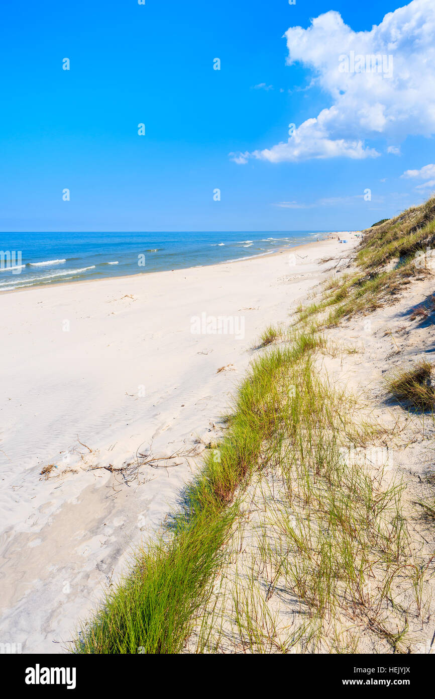 Erba verde sulla duna di sabbia sulla spiaggia Lubiatowo, Mar Baltico, Polonia Foto Stock