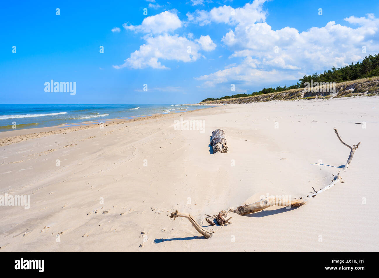 Albero secco le linee sulla spiaggia di sabbia bianca di Lubiatowo villaggio costiero, Mar Baltico, Polonia Foto Stock