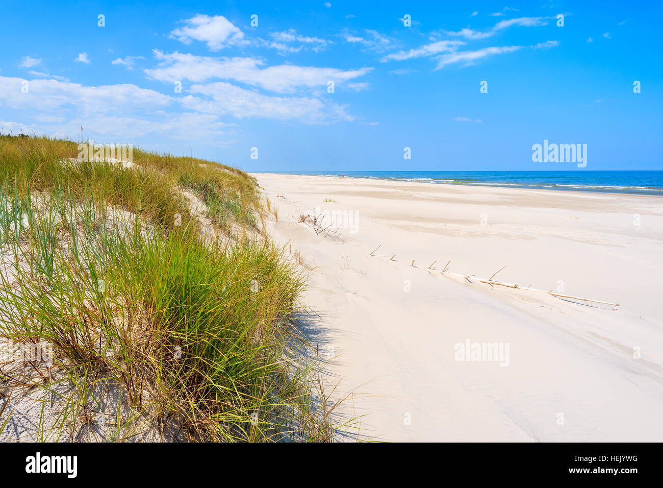 Erba verde dune di sabbia sulla spiaggia di Debki, Mar Baltico, Polonia Foto Stock