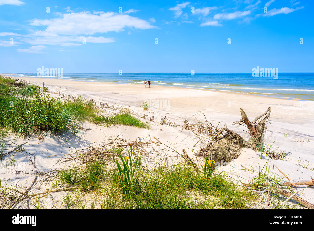 Vista sul verde della zona costiera in Lubiatowo, Mar Baltico, Polonia Foto Stock