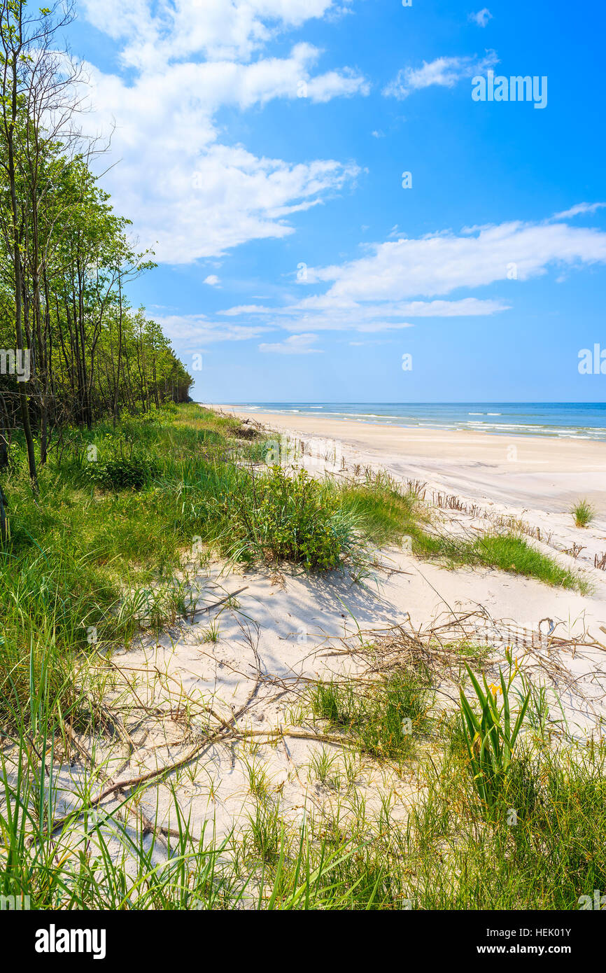 Vista sul verde della zona costiera in Lubiatowo, Mar Baltico, Polonia Foto Stock