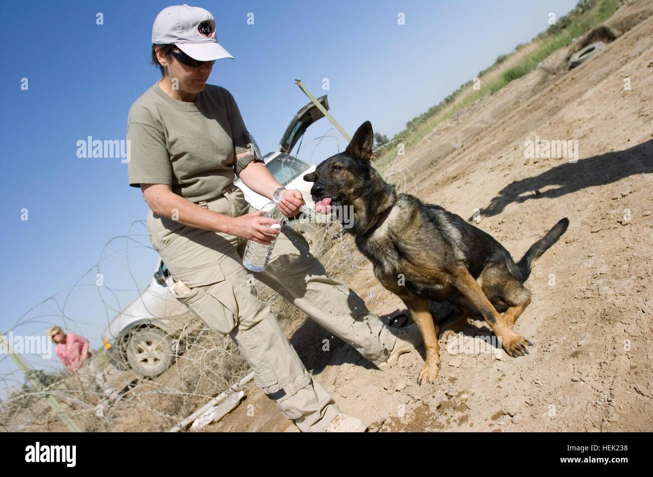 Il tedesco Sheppard strega cerca formazione aiuti nascosti dal suo gestore Holbert Kathy, un appaltatore civile da Filippi, W.V., con USF-I PMO, militare lavorando come cani in prove di lei il suo cadavere cane nelle operazioni di recupero. I militari lavorano i cani sono noti come gli esseri umani" rimane cani di rilevamento. Il loro compito è quello di trovare resti umani per mettere la chiusura di persone scomparse. Cadavere di addestramento del cane 267500 Foto Stock