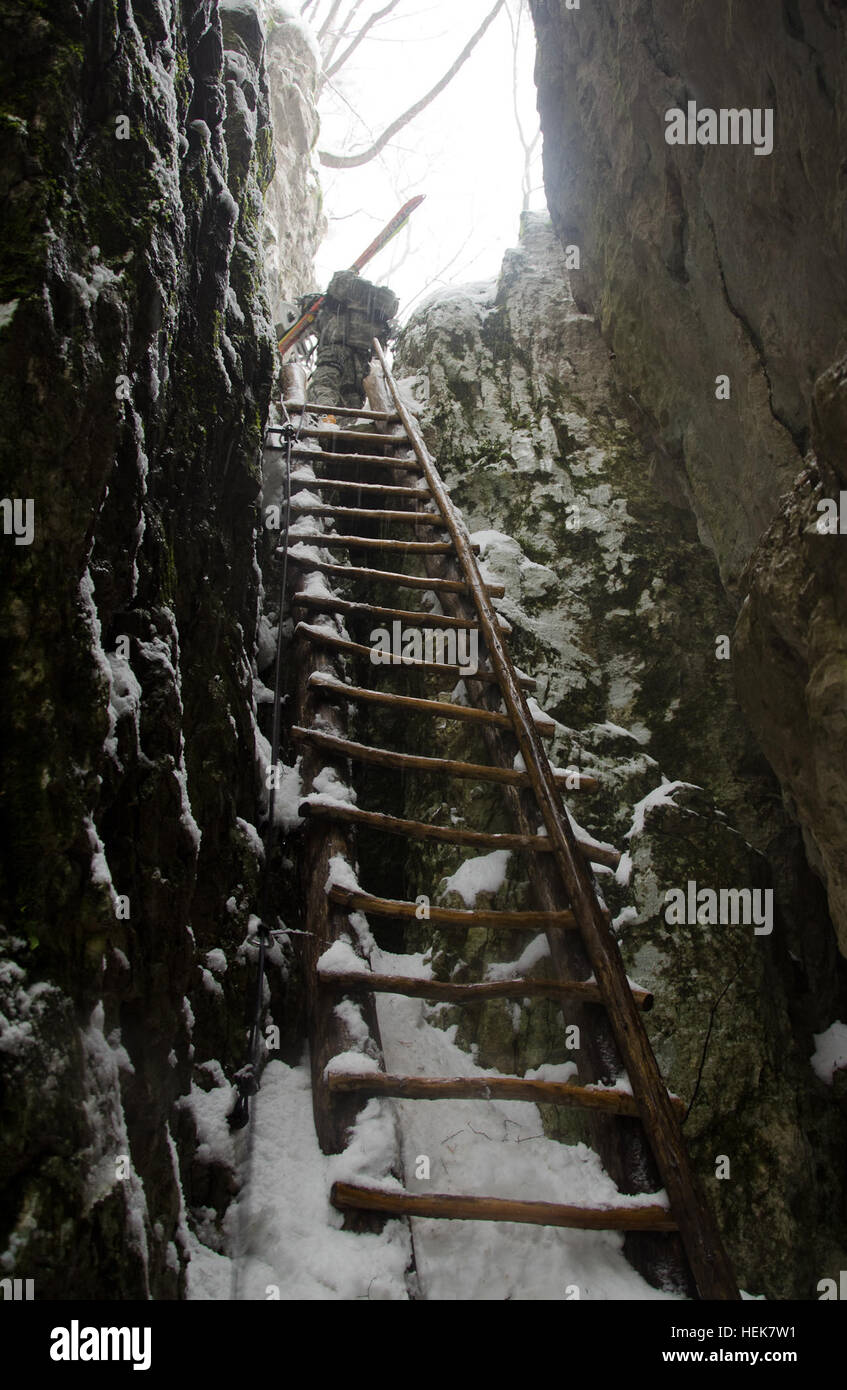 SSG Joshua Caiado dal 172nd della brigata di fanteria cancella la parte superiore di una scala in una stretta dello scivolo di montagna durante la guerra di montagna di formazione presso la slovena delle Forze Armate di montagna del Centro di formazione. I soldati della fanteria 172nd brigata partecipano in montagna warfare training per acquisire familiarità con le difficoltà incontrate durante le operazioni di montagna. (U.S. Esercito Europa Foto di Richard Bumgardner) 172nd montagna sloveno di formazione (5241414190) Foto Stock