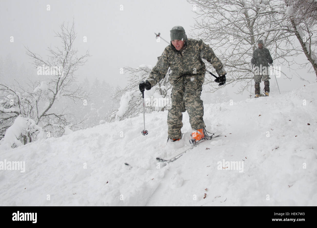 BOHINJSKA BELA, Slovenia -- il Sergente Michael Bresk dalla U.S. Esercito dell'Europa 172nd della brigata di fanteria, impara a sciare anche durante la guerra di montagna di formazione presso la slovena delle Forze Armate di montagna del Centro di formazione. I soldati della fanteria 172nd brigata partecipano in montagna warfare training per acquisire familiarità con le difficoltà incontrate durante le operazioni di montagna. (U.S. Esercito Europa Foto di Richard Bumgardner) 172nd montagna sloveno di formazione (5241414502) Foto Stock