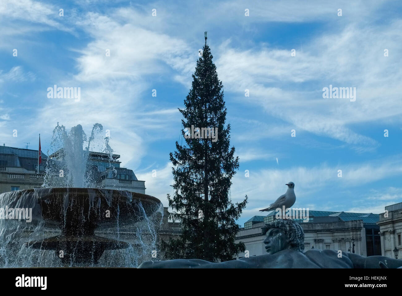 Londra, Regno Unito. Il 22 dicembre 2016. Unseasonal clima mite a Londra con temperature intorno ai 9 gradi prima di tempesta Barbara fa approdo venerdì portando al vento fino a 90km/h. © claire doherty/Alamy Live News Foto Stock