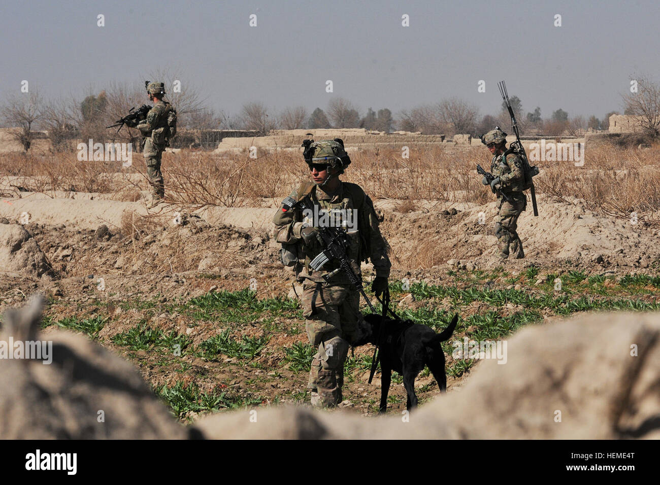 Stati Uniti Pfc dell'esercito. Franklin Sena, un fante e tattiche di rilevamento esplosivi di cane (TEDD)gestore con la società C, 4° Battaglione, 9° Reggimento di Fanteria, combinata Task Force 4 Stryker Brigade Combat Team, seconda divisione di fanteria, e il suo cane Livee, lavorare insieme durante la loro prima missione come una squadra durante una pattuglia smontati a Shubazai, Afghanistan, Febbraio 7, 2013. Custodia Sena ha ricevuto nove settimane di corsi di formazione per essere un gestore TEDD ed è attualmente dispiegati in Afghanistan a sostegno dell'Operazione Enduring Freedom. (U.S. Esercito foto di Sgt. Kimberly Hackbarth/RILASCIATO) TEDD gestore, dog go sulla prima missione a Foto Stock