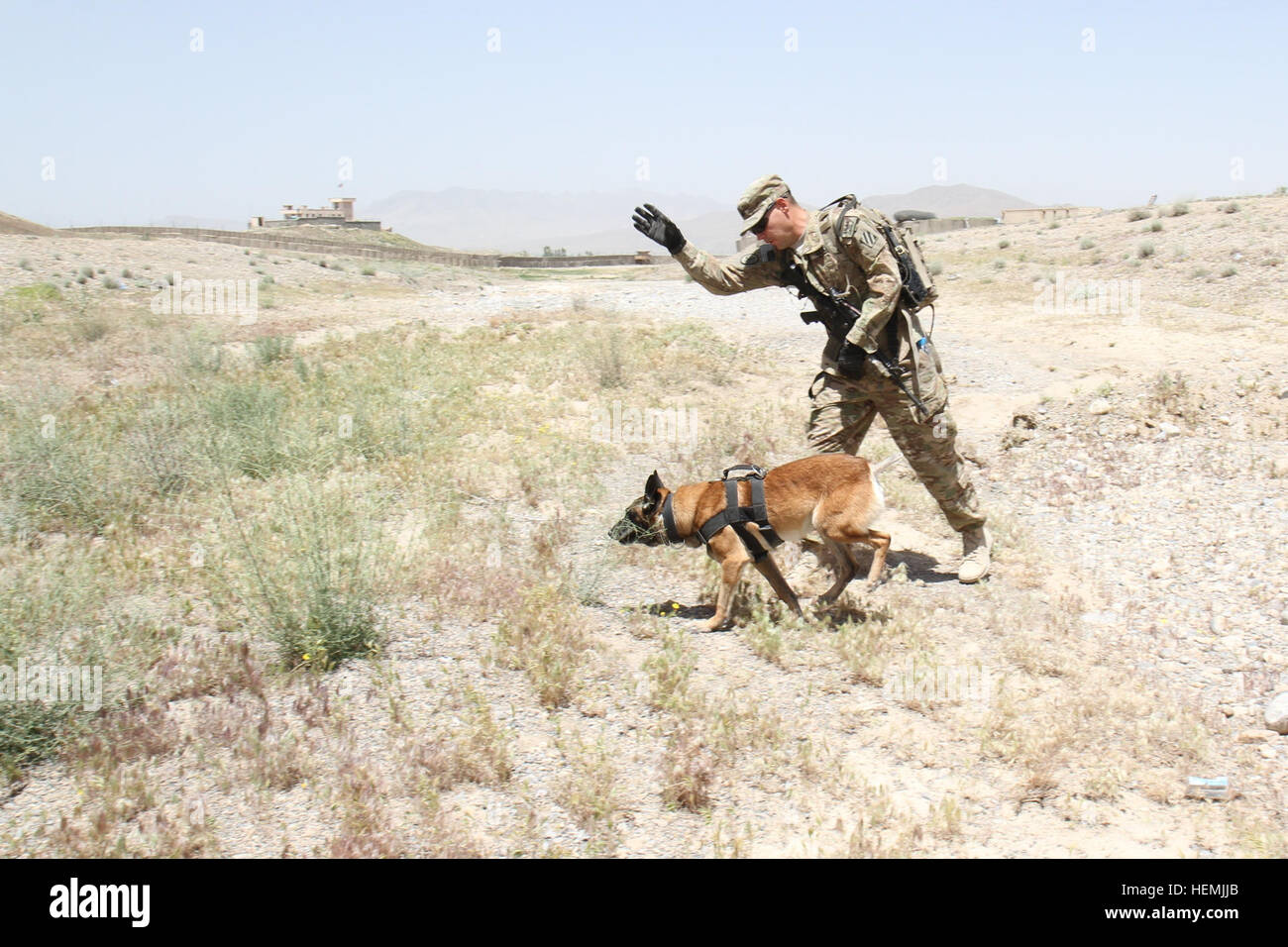 Stati Uniti Army Sgt. Jeremy Shelton, un Amarillo, Texas, nativi e una tattica di esplosivi rilevamento gestore del cane con il quarto della brigata di fanteria combattere la squadra, terza divisione di fanteria, dà il suo cane personale. Sgt. Rexy, un segnale di mano per cercare un esplosivo nascosto durante un esercizio di rilevazione, 16 maggio 2013, qui. Il quotidiano allenamento mantiene la TEDD team, sia il gestore e cane, pronto a rilevare la presenza di esplosivi nascosti quando viene chiamato per andare sul giunto U.S. e smontata afghano di pattuglie, contribuendo a mantenere usa e soldati afgani e civili locali di sicuro. L'uomo%%%%%%%%E2%%%%%%%%80%%%%%%%%99s migliore amico treni per rilevare gli esplosivi Foto Stock