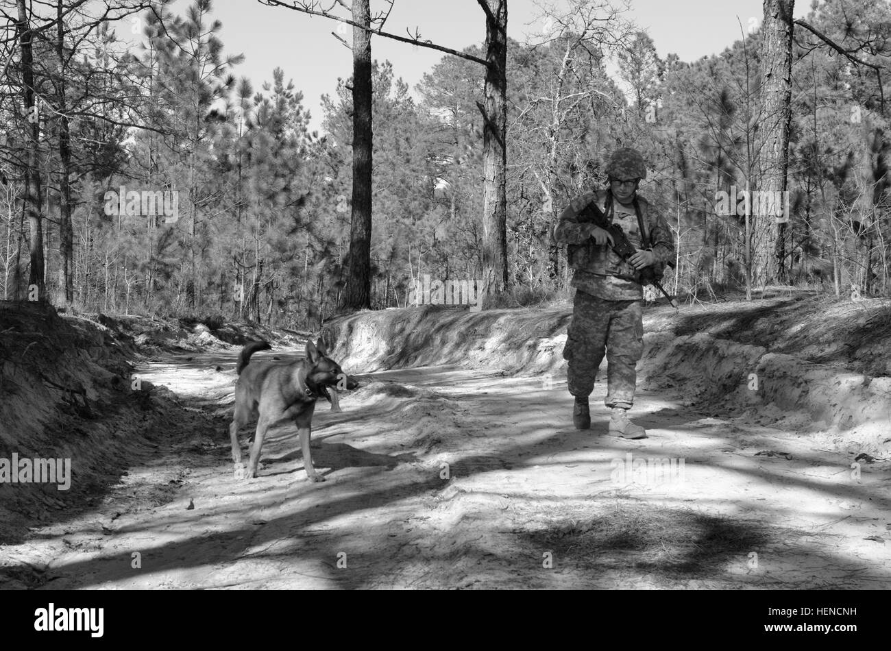 Pfc. Nicholas C. Hinderliter di Detroit e militari di cane da lavoro Sgt. Roger, un 2-anno-vecchio pastore tedesco, entrambi assegnati alla militare 550i cane da lavoro distacco, 503rd Polizia Militare battaglione, sedicesima brigata MP, Fort Bragg, ricerca di esplosivi lungo una strada a Fort Bragg, N.C., 11 marzo 2014. Il personale Sgt. James A.C. Sala della Pennsylvania sovrintende l'evento di formazione. (U.S. Esercito foto di Sgt. Barry St Clair) soldati ci sono 140311-A-UK859-476 Foto Stock