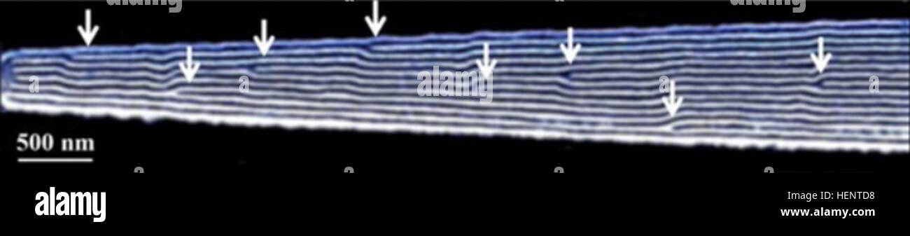 Collocamento controllato di difetti lungo nanochannels rastremata consente la concentrazione spaziale e di migliorare il rilevamento di contaminanti chimici e biologici. (Creato per il Dipartimento della Difesa dal dottor Steven Sibener, Università di Chicago e la cortesia della American Chemical Society) i ricercatori a trovare un modo migliore per tenere traccia e identificare le minacce chimiche in tempo reale 140919-A-AB123-004 Foto Stock