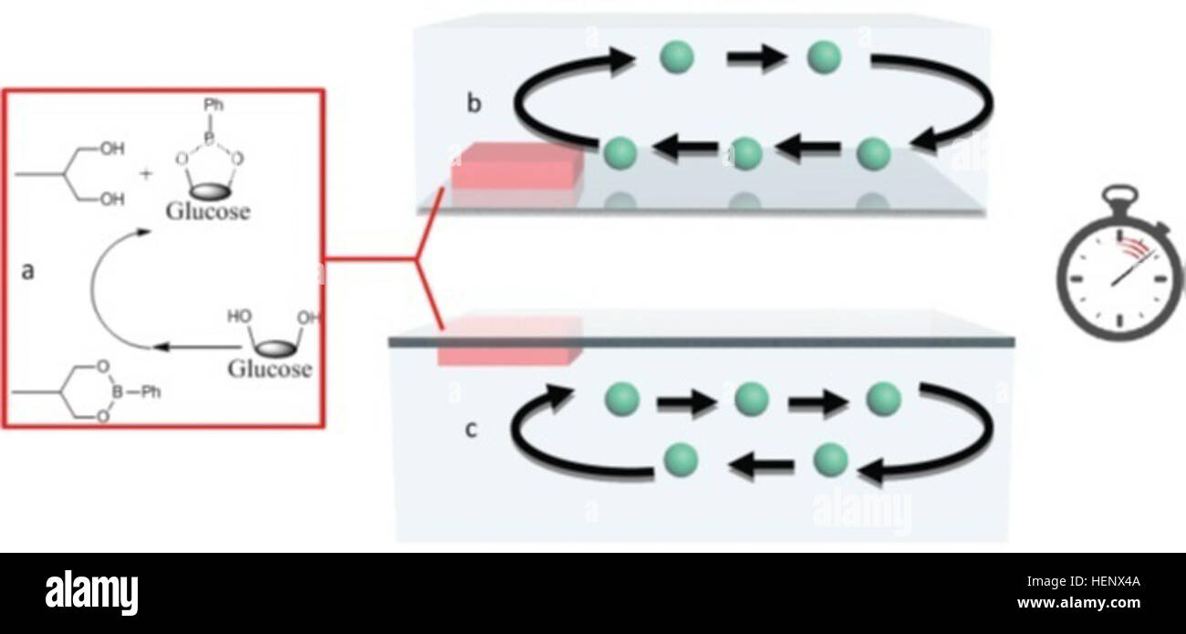 Dimostrazione schematica della configurazione sperimentale. (A) all'interno di transesterificazione la micropompa quando esposti a glucosio. (B) configurazione normale della micropompa: verso l'esterno il flusso di fluido sullo strato superiore (c) quando la micropompa è ribaltato in posizione capovolta, la direzione di flusso si inverte. Immagine creata per il Dipartimento della Difesa dal dottor Ayusman Sen della Penn State University e la cortesia della American Chemical Society. Micropompe autoalimentato con porta aperta alla diagnostica Power-Free 141016-A-AB123-002 Foto Stock