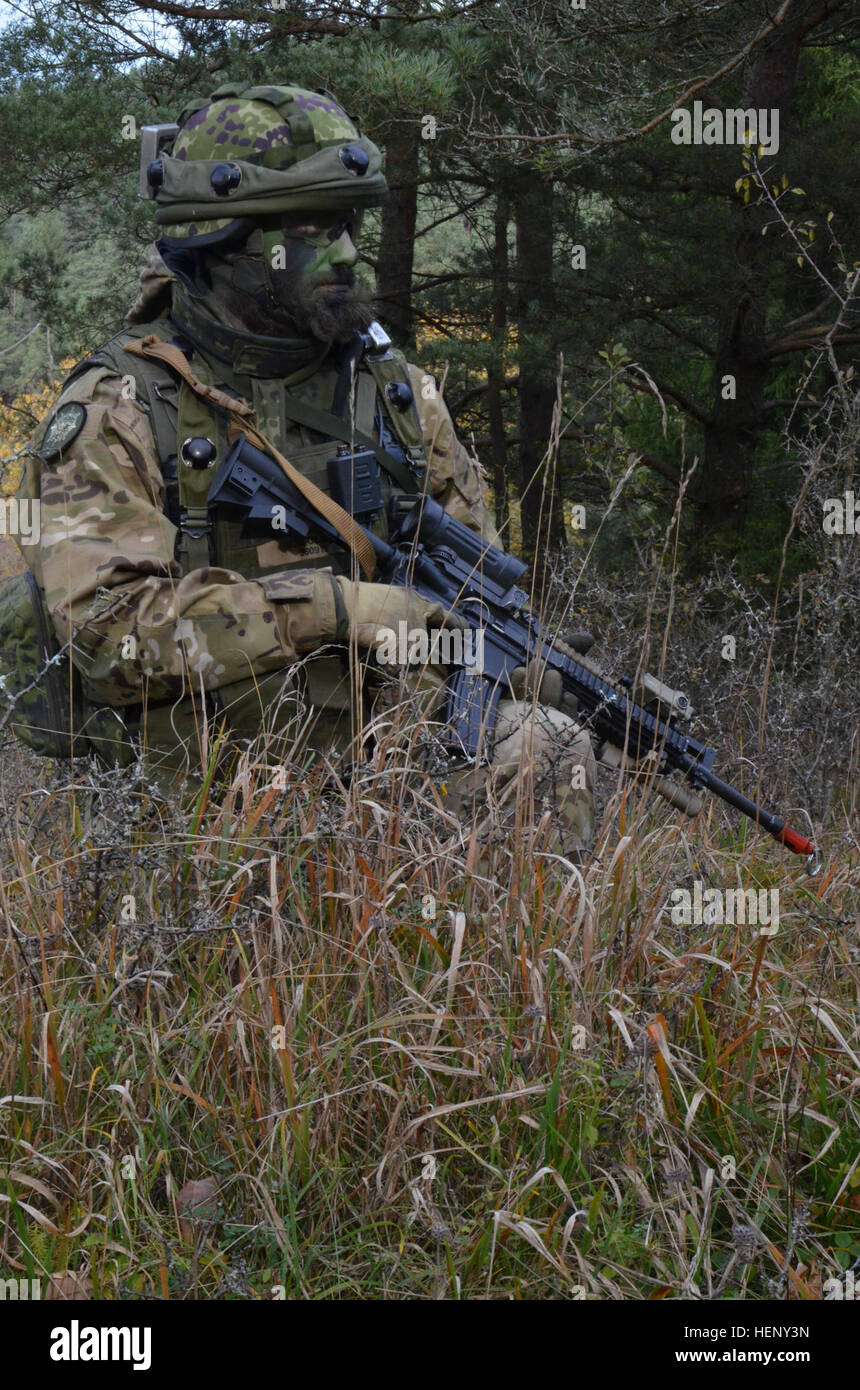 Un soldato danese di alfa Company, 3° Battaglione di ricognizione, Guardia ussaro reggimento scansiona il suo settore di fuoco mentre si conduce una lotta contro le operazioni di prova durante l'esercizio fisico combinato risolvere III presso la multinazionale comune disponibilità centro in Hohenfels, Germania, nov. 4, 2014. Risolvere combinato III è una multinazionale di esercizio, che include oltre 4.000 partecipanti provenienti da la NATO e i paesi partner, ed è progettata per fornire un complesso scenario di addestramento che si concentra sulle multinazionali terra unificata operazioni e rafforza l'impegno degli Stati Uniti per la NATO e per l'Europa. (U.S. Esercito foto di PFC. Shardesi Foto Stock