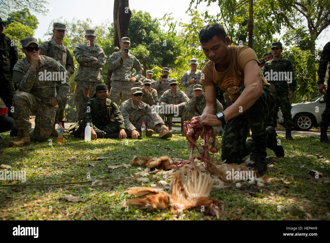 Royal Thai soldati dell esercito assegnato al trentunesimo Reggimento di Fanteria, Forza di dispiegamento rapido, Kings Guard, dimostrare come hypnotize, quindi uccidere umanamente e consumare un pollo per sopravvivere a U.S. I soldati dell esercito assegnato al XXV divisione di fanteria durante una giungla esercitazione su Camp 31-3, Lopburi, Thailandia, il 10 febbraio, 2015. La formazione è stata condotta come una parte della formazione congiunta esercizio Cobra Gold 2015. (U.S. Esercito foto di Spc. Steven Hitchcock/RILASCIATO) Cobra Gold 2015 150210-A-SE706-111 Foto Stock