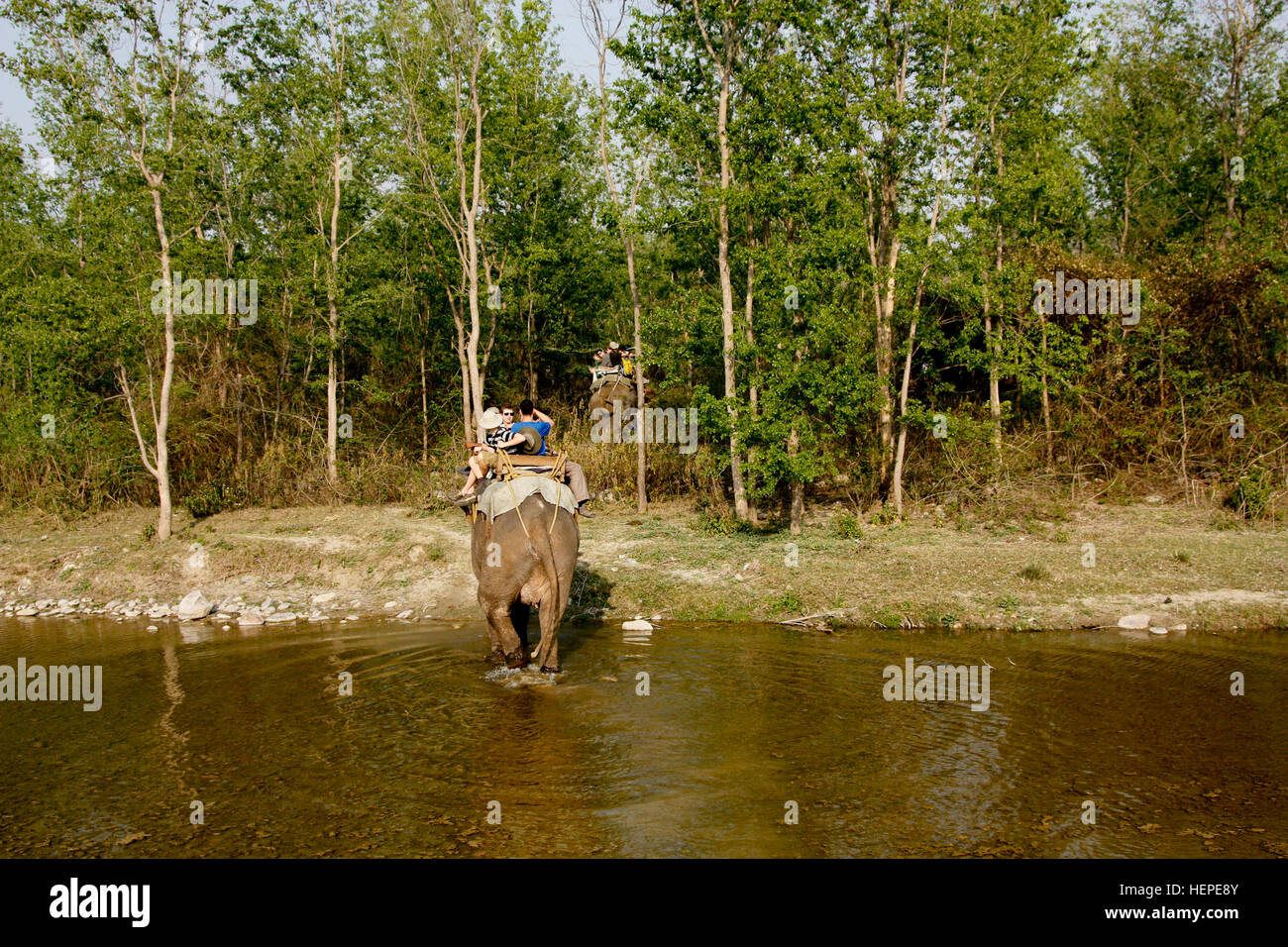 Vita selvaggia Trekking in India Foto Stock