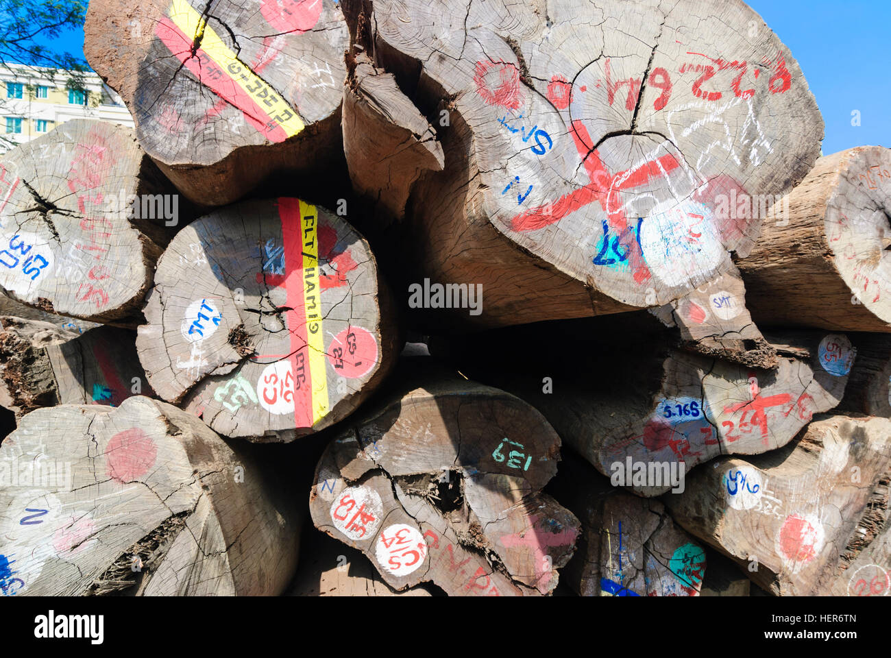 Chittagong: legno tropicale nel porto di Chittagong, divisione, Bangladesh Foto Stock