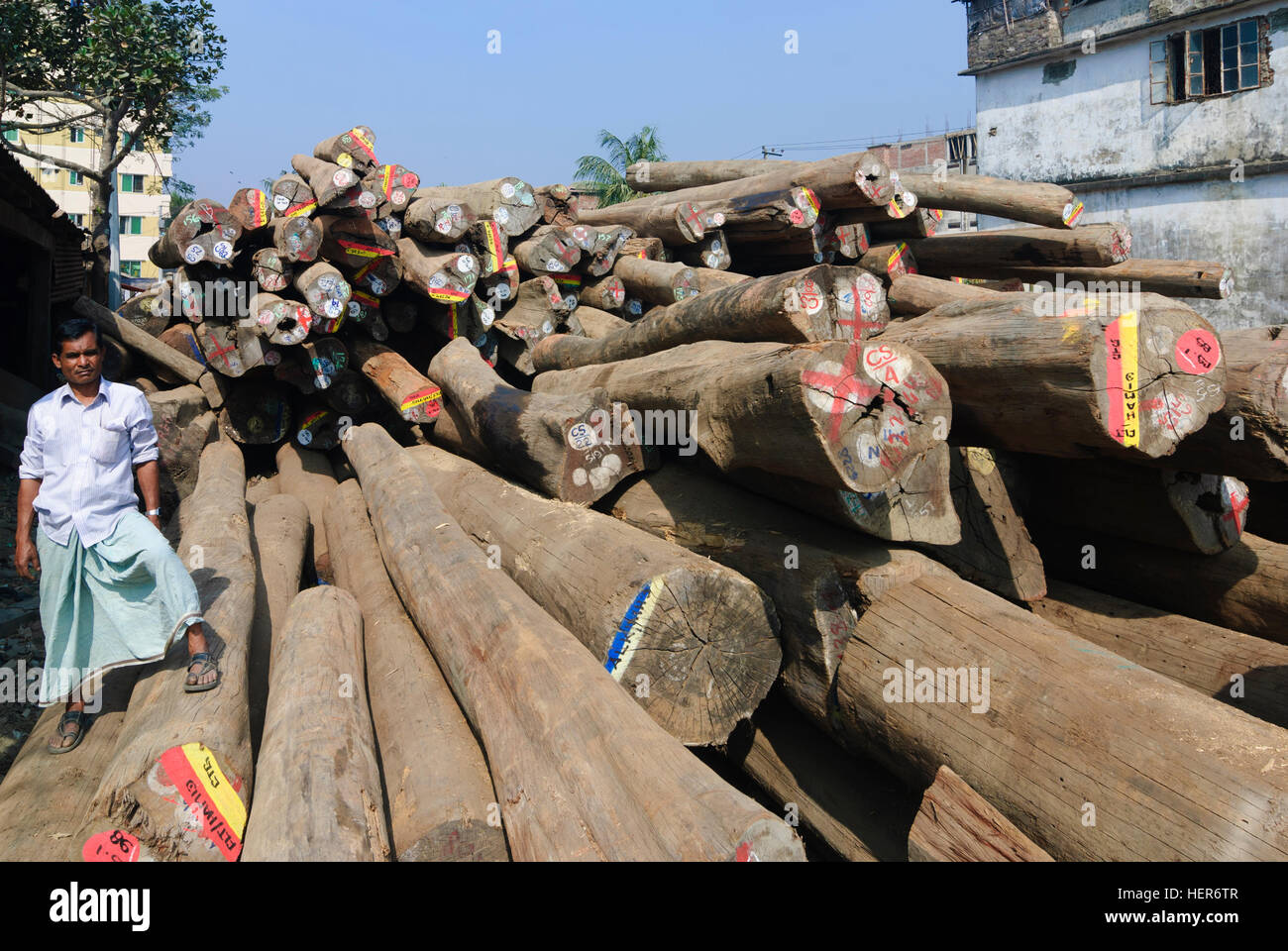Chittagong: legno tropicale nel porto di Chittagong, divisione, Bangladesh Foto Stock
