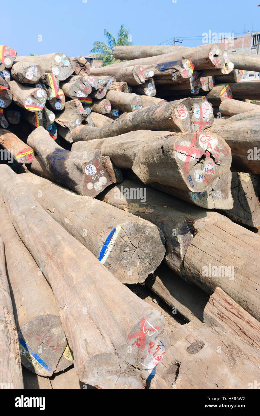 Chittagong: legno tropicale nel porto di Chittagong, divisione, Bangladesh Foto Stock