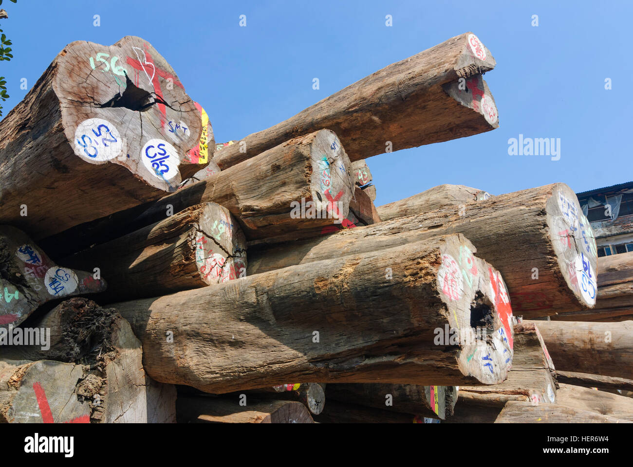 Chittagong: legno tropicale nel porto di Chittagong, divisione, Bangladesh Foto Stock