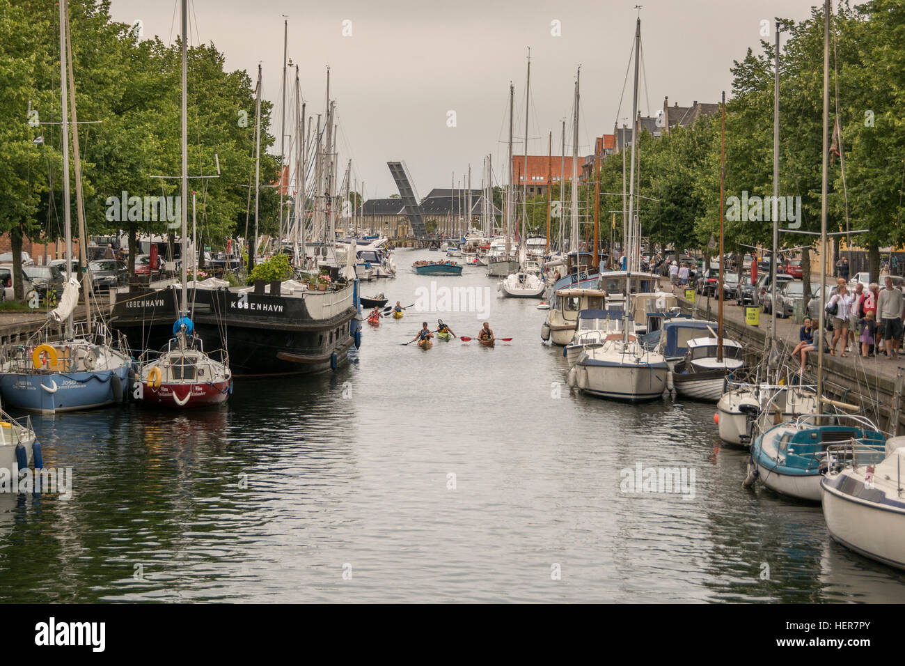 Rematori nel mezzo del canale, Christianhavn, Copenhagen, Danimarca Foto Stock
