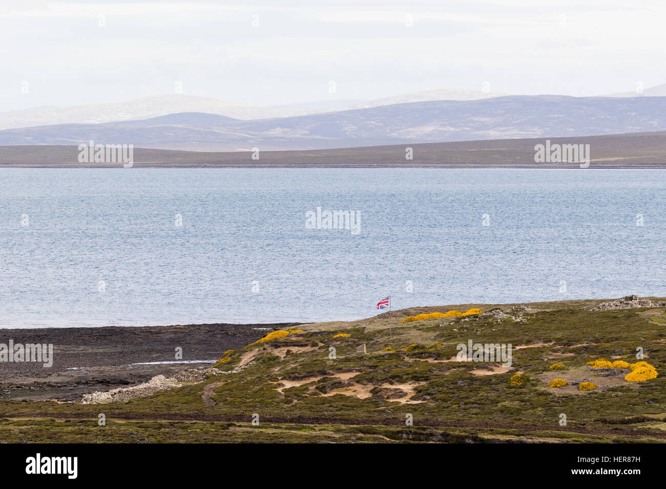 Port Egmont Saunders Island Falkland Foto Stock